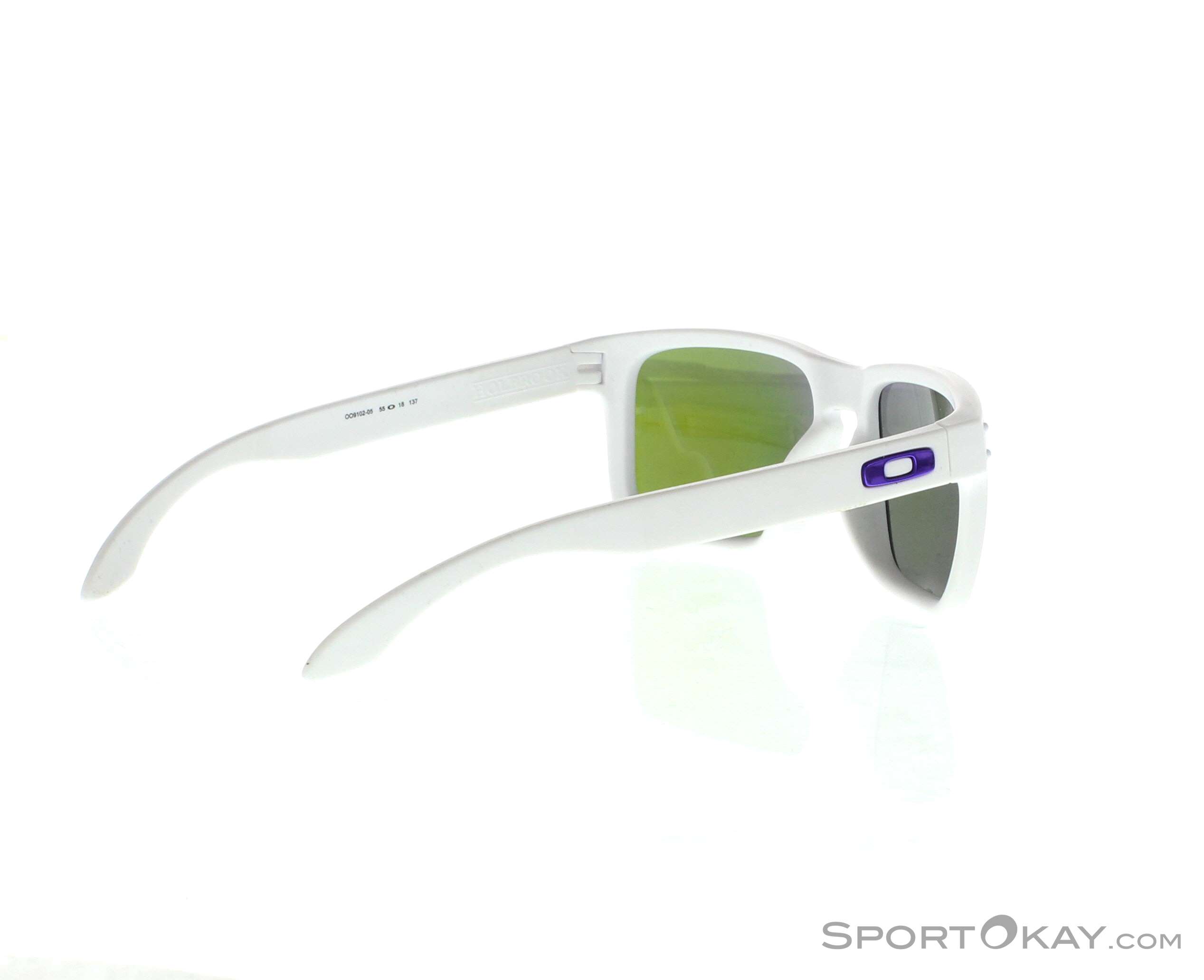 Holbrook violet jointed iridium polarized