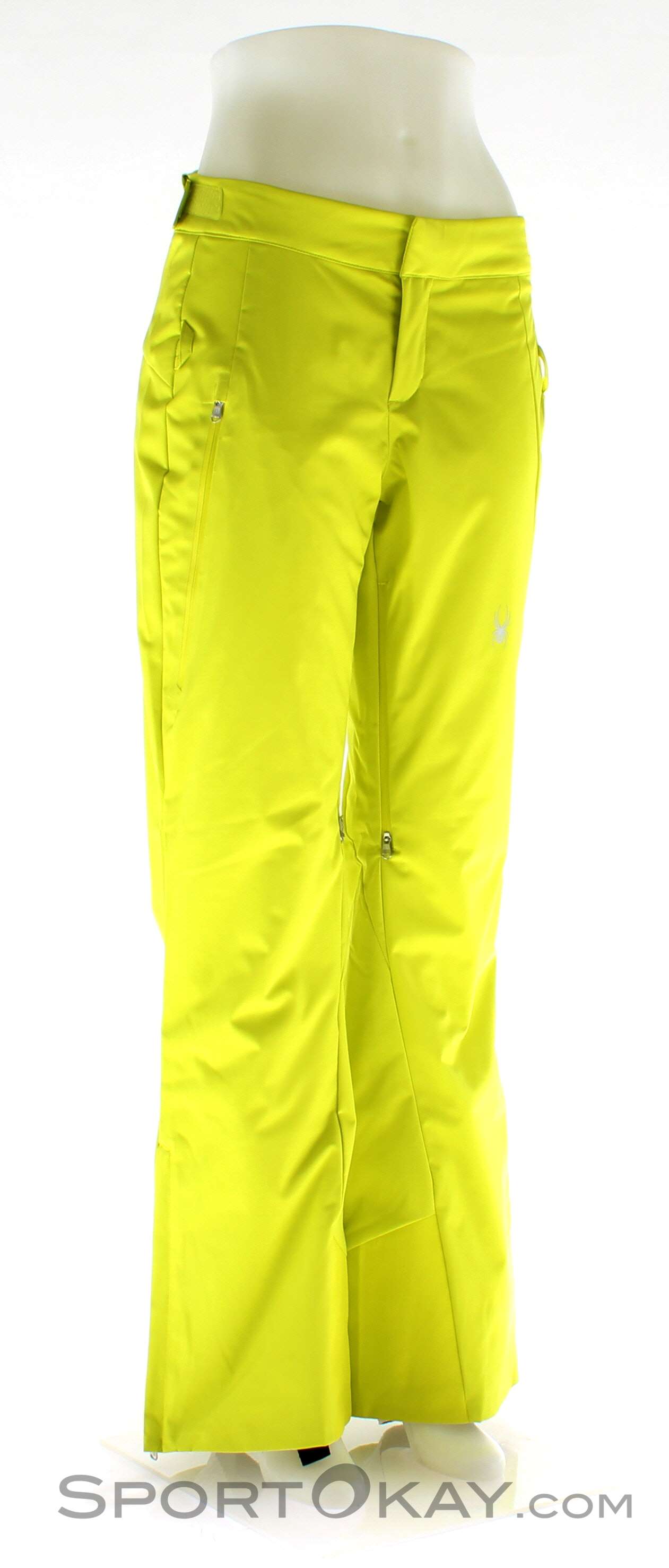 Spyder Temerity Ski Pant (Women's)