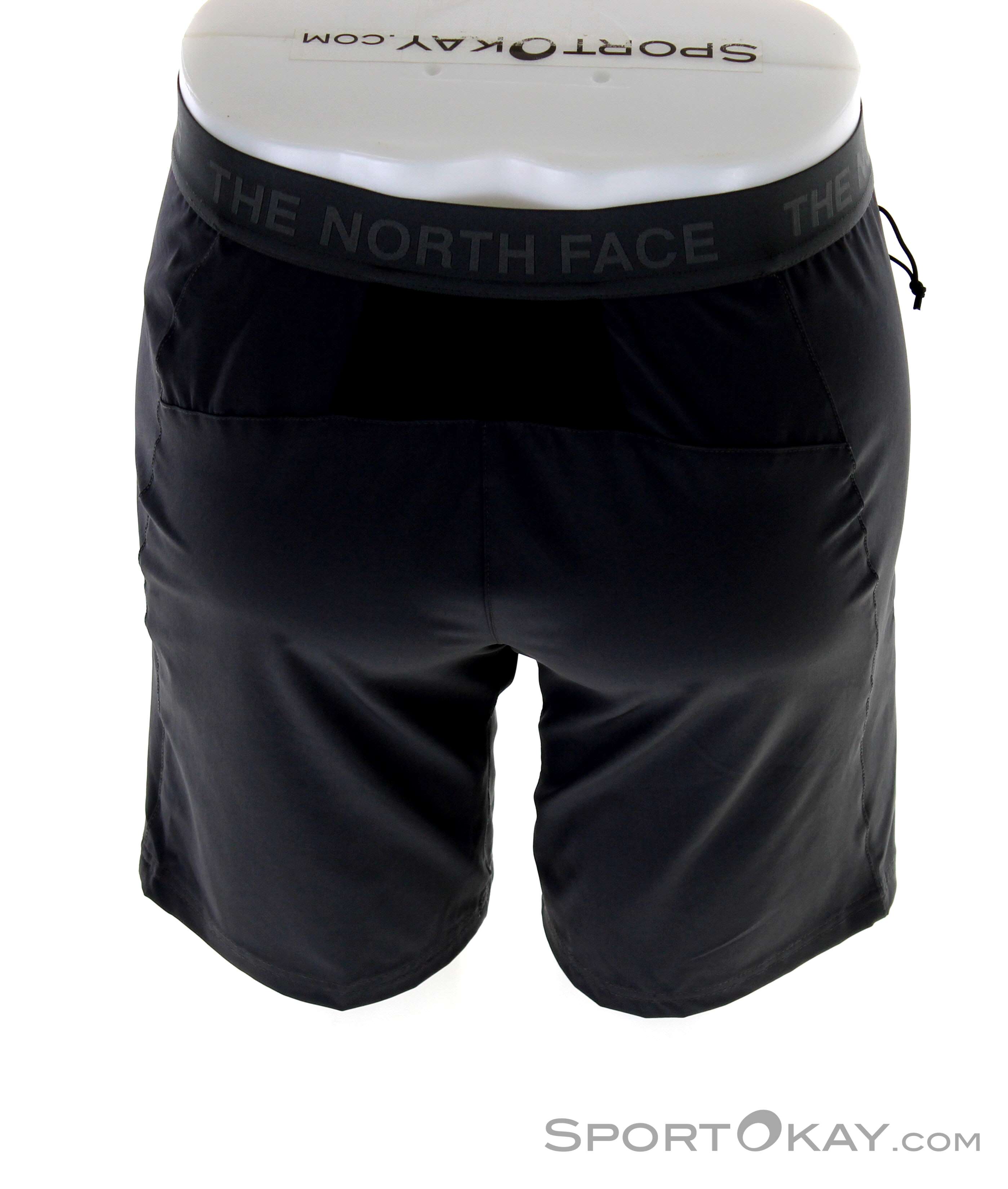 The North Face Glacier Mens Outdoor Shorts - Pants - Outdoor