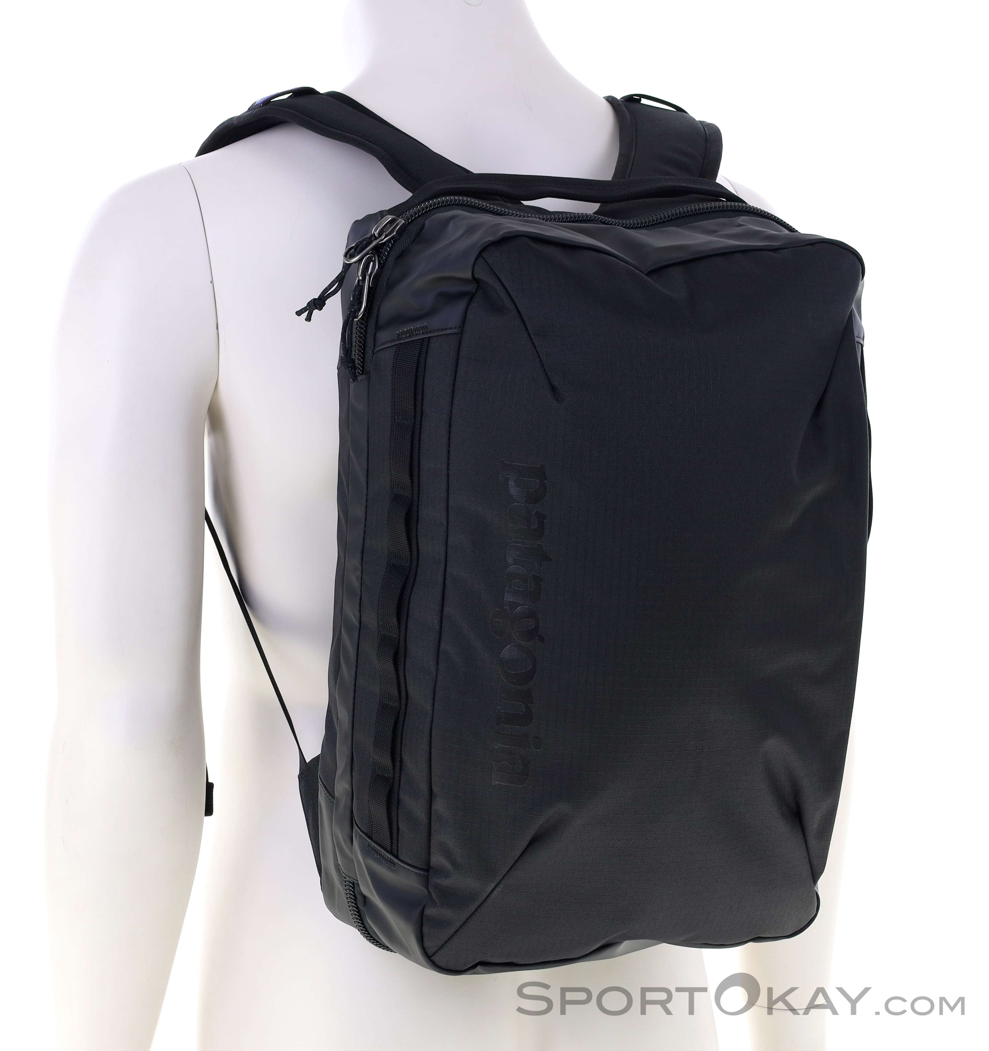 Patagonia Black Hole Micro MLC 22l Backpack - Backpacks