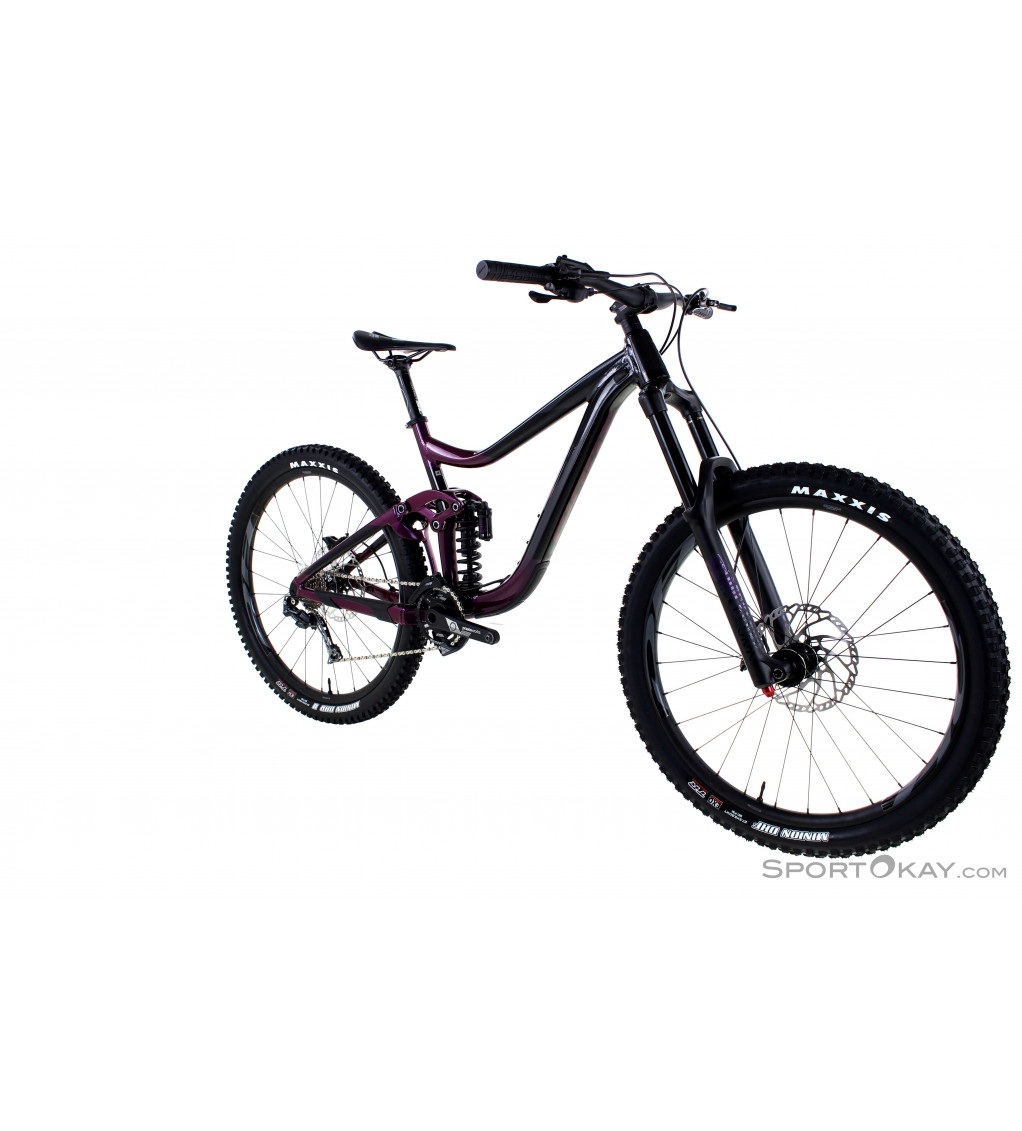 2020 reign sx