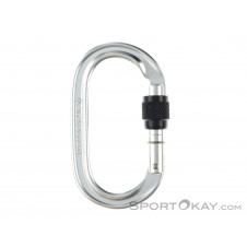 Black Diamond Oval Screw Gate Schraubkarabiner-Grau-One Size