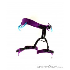Arcteryx AR-385a Damen Klettergurt-Lila-L