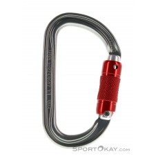 Petzl Am'D Safe Lock Karabiner-Grau-One Size
