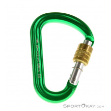 Salewa Pro HMS-Karabiner-Grün-One Size