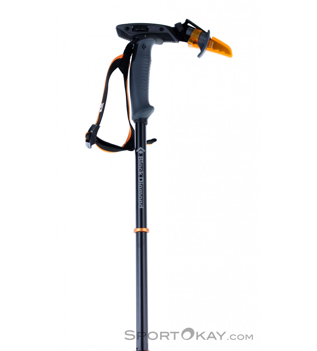 ski pole whippet