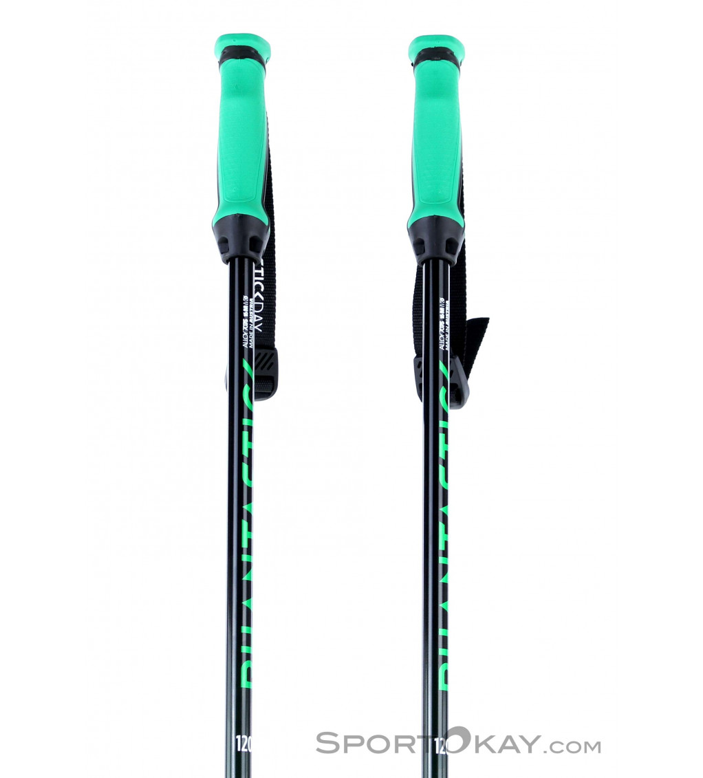Green Volkl Phantastick Ski Pole 