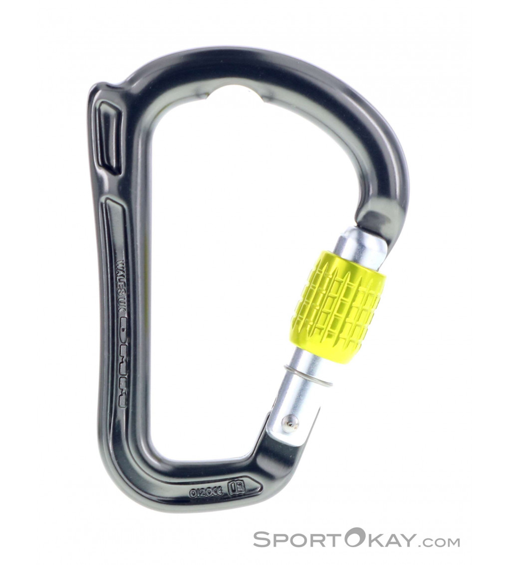 dmm locking carabiner