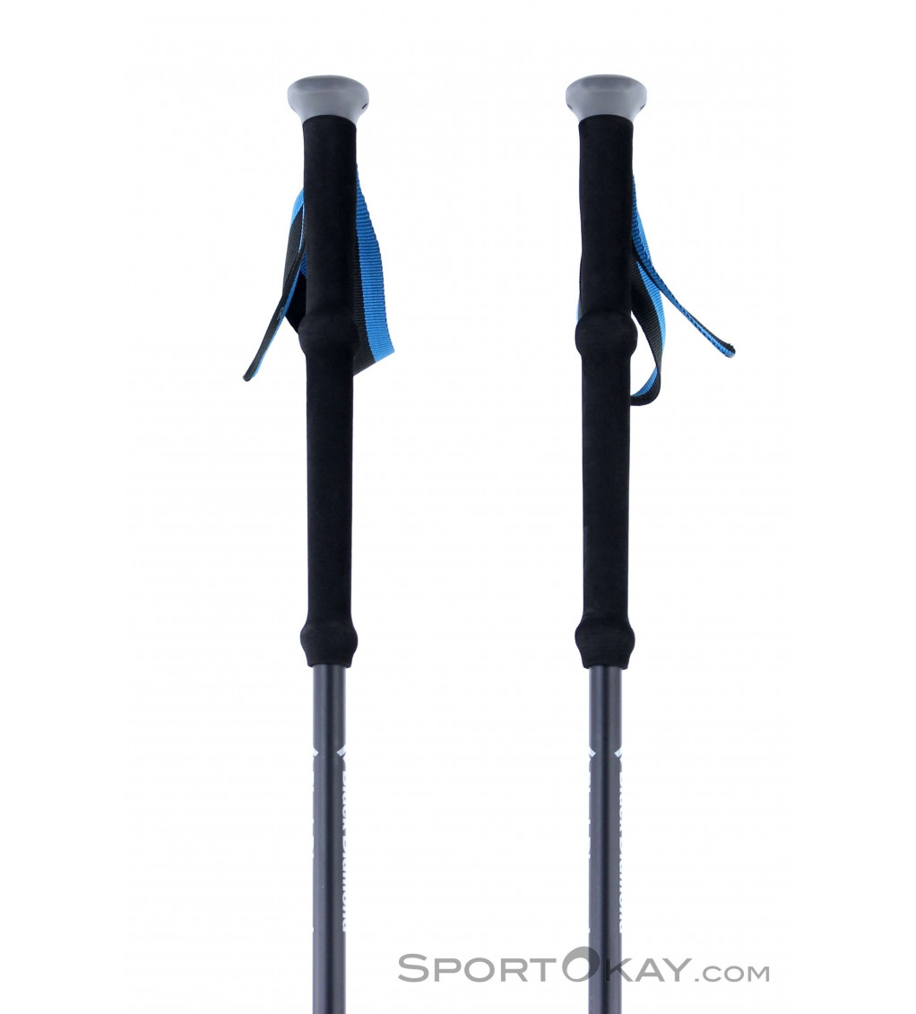 Expedition 2 pro ski poles