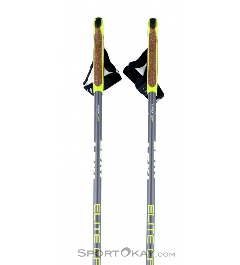 ski pole walking sticks