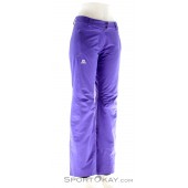 salomon stormspotter ski pants