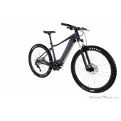 Giant Revolt Advanced 3 28\