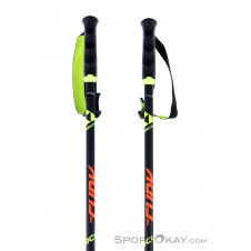 Fischer RC4 The Curv AL Ski Poles
