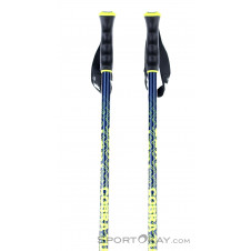Leki Cobra Turn Ski Poles
