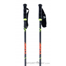 Fischer RC4 The Curv CF Ski Poles
