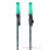 Völkl Phantastick Ski Poles