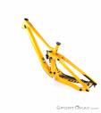 scott gambler 2020 frame