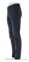 salomon wayfarer alpine pant