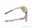 Alpina Ram Hr Hm Sunglasses Sunglasses Ski Goggles Accessory Ski Freeride All